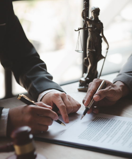 Political Commentator